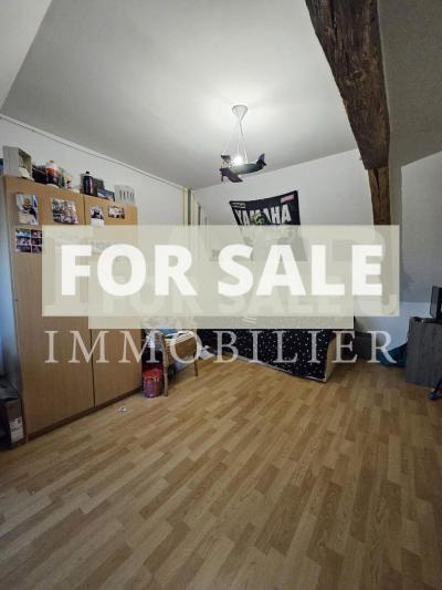 Traditional Stone Built House with Garden