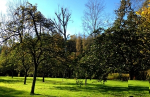 Huge Property Complex in Lots of Land