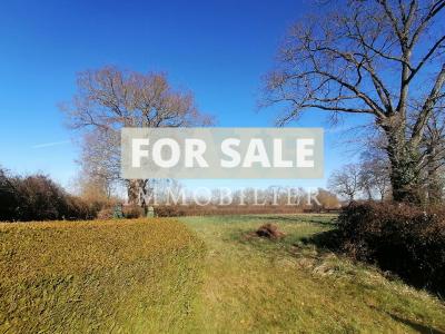 Detached Country House with Outbuilding
