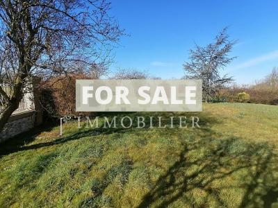 Detached Country House with Outbuilding