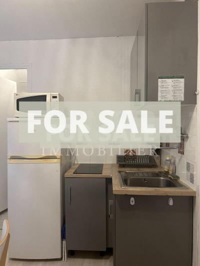 Detached House Divided into Five Apartments