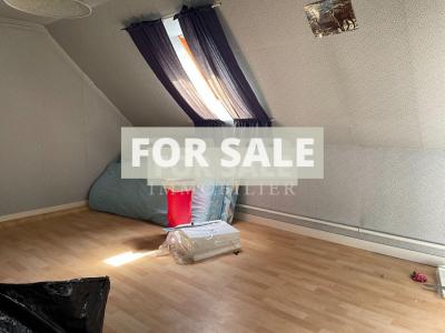 Detached Country House with Garden