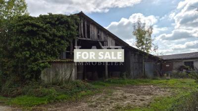 Detached Country House with Outbuilding