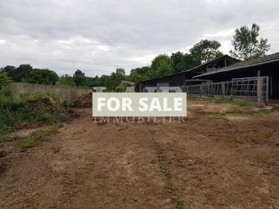 Detached Country House with Outbuilding