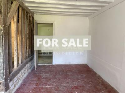 Countryside Houses with Outbuildings