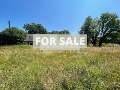 Countryside Houses with Outbuildings