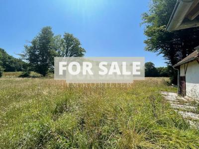Countryside Houses with Outbuildings