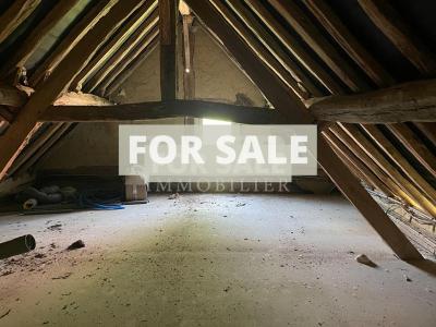 Countryside Houses with Outbuildings