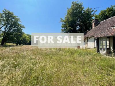 Countryside Houses with Outbuildings