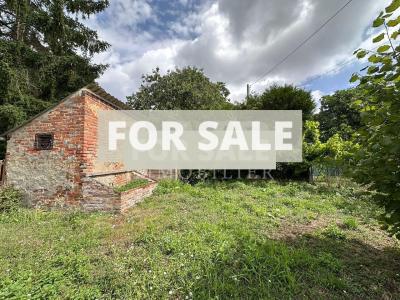 Habitable Village House to Improve