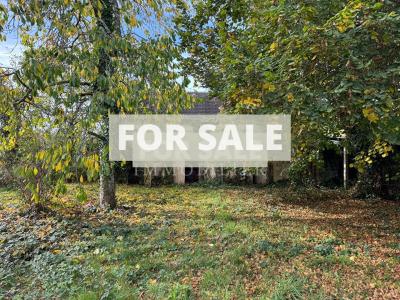 Village House with Huge Potential