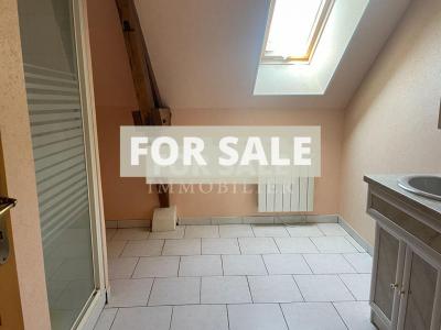 Country House with Lots of Land and Pond