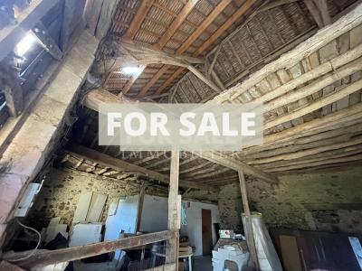 Country House with Lots of Land and Pond