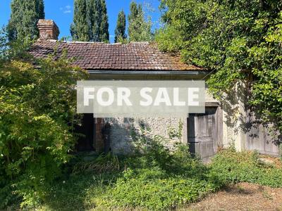 Country House with Lots of Land and Pond