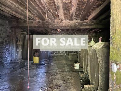 Country House with Lots of Land and Pond