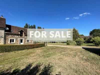 Country House with Lots of Land and Pond