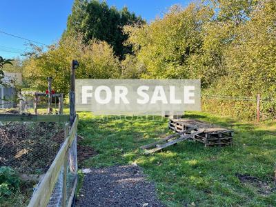 Lovely Country House with Outbuilding