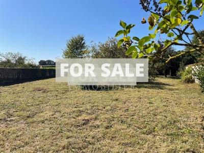 Detached Rural House with Outbuilding