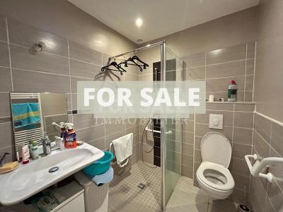 Large Period Property with Much Potential