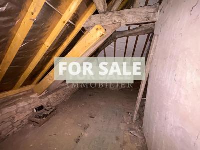 Large Period Property with Much Potential