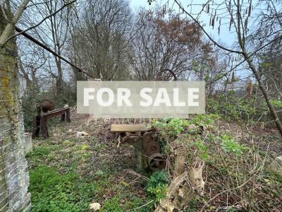 Large Period Property with Much Potential