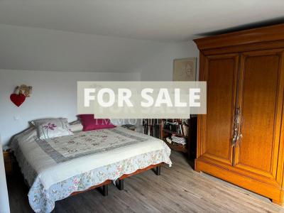 Beautiful House in Good Decorative Order