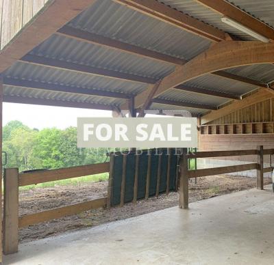 Detached Country House with Outbuilding