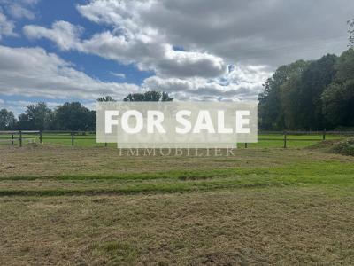 Countryside Barn Renovation Project