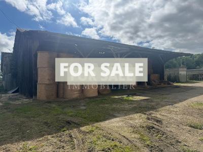 Barn to Renovate in the Countryside