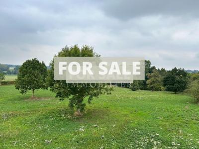 Detached Country House with Outbuilding