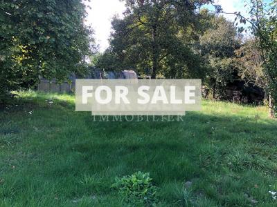 Country House to Improve with Garden