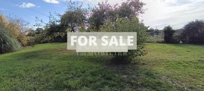 Detached Country House with Outbuilding