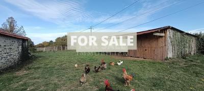 Detached Country House with Outbuilding