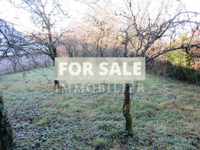 Detached Country House with Outbuilding