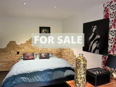 Fully Renovated House with Heated Swimming Pool