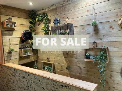 Fully Renovated House with Heated Swimming Pool