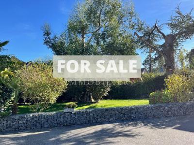 Fully Renovated House with Heated Swimming Pool
