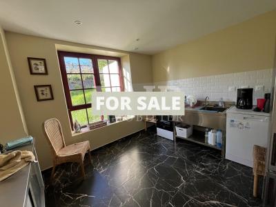 Charming Detached House and Garden