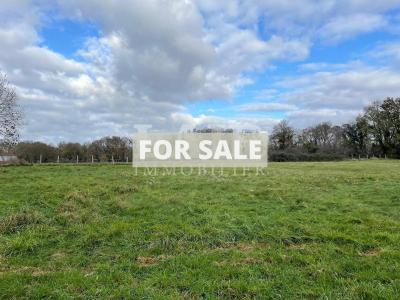 Detached Country House with Open Views