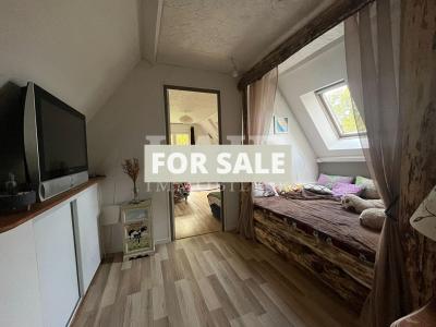 Detached Country House with Landscaped Garden