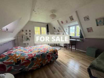 Detached Country House with Landscaped Garden