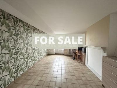 Lovely House and Garden plus Outbuildings