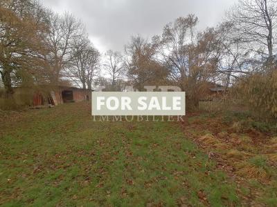 Detached Country House with Land