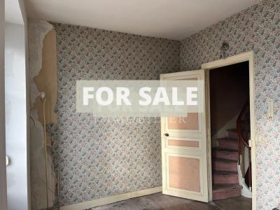 Village House with Accommodation and Business Opportunity