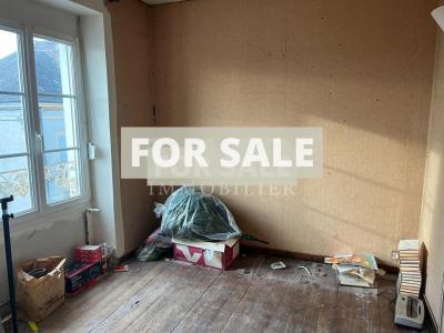 Village House with Accommodation and Business Opportunity