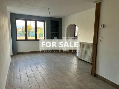 Detached House with Garden and Pond