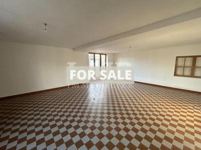 Detached House with Garden and Pond