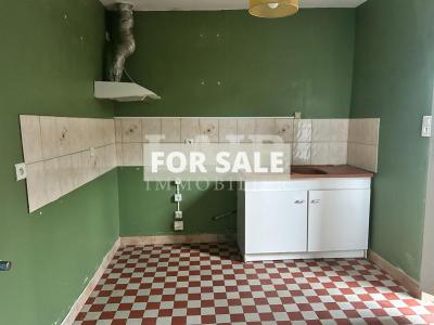 Detached House with Garden and Pond