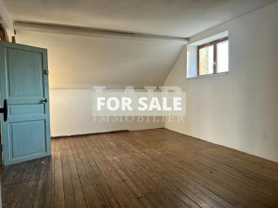 Detached House with Garden and Pond