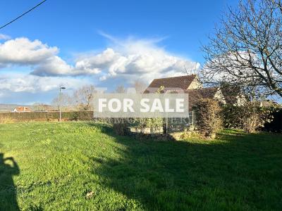 Detached House with Garden and Pond